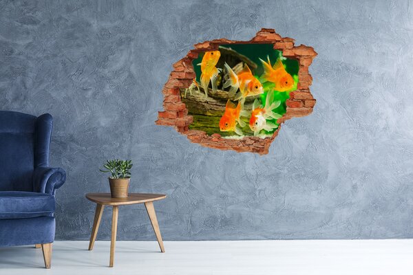 Díra 3D foto tapeta nálepka Zlaté rybičky nd-c-89540196