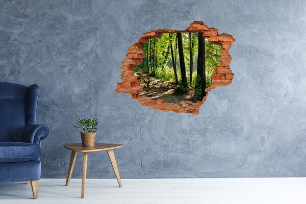 Nálepka fototapeta 3D na zeď Stezka na louce nd-c-89440501