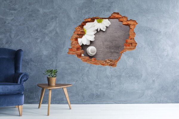 Samolepící díra nálepka beton Gerbera nd-c-89978317