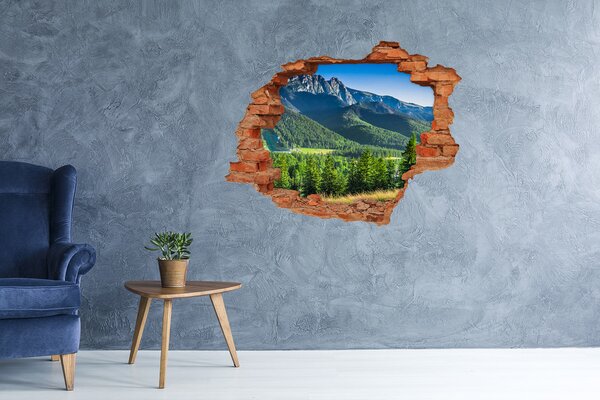 Nálepka fototapeta 3D Skokanský můstek Tatry nd-c-91165777