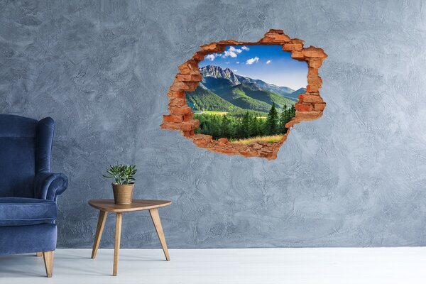 Nálepka fototapeta na zeď Skokanský můstek Tatry nd-c-91165762