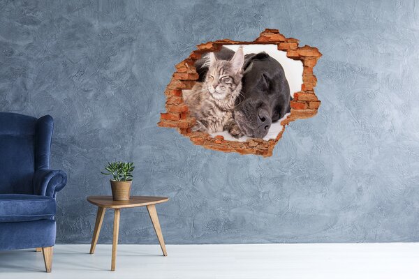 Díra 3D foto tapeta nálepka Pes s kočkou nd-c-91792125