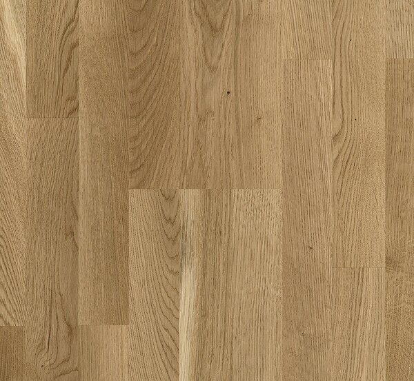 PARADOR Basic 11-5 Rustikal Dub 1569685 - 4.07 m2