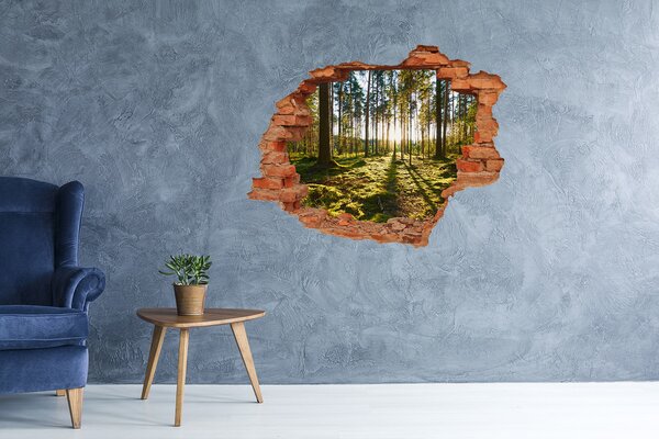 Nálepka fototapeta 3D na zeď Sosnový les nd-c-92027264