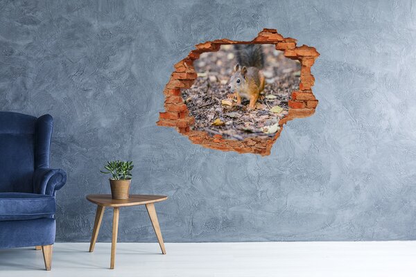 Nálepka fototapeta 3D na zeď Veverka nd-c-92289663