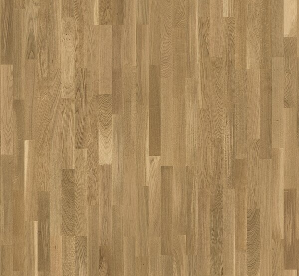 PARADOR Basic 11-5 Rustikal Dub 1569685 - 4.07 m2