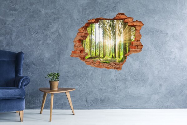 Díra 3D foto tapeta nálepka Les slunce nd-c-92474685