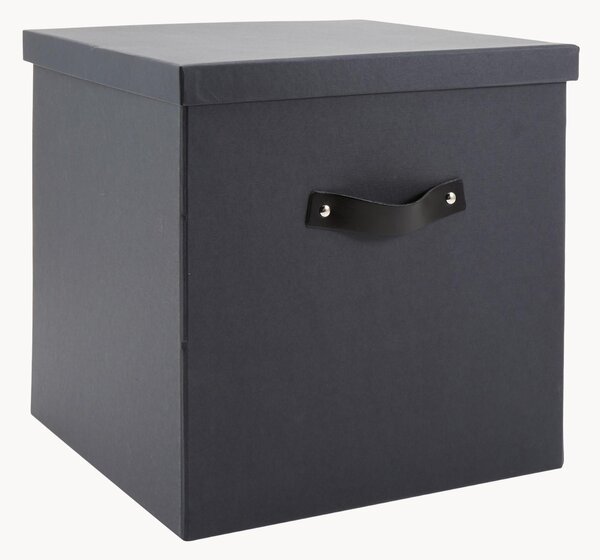 Skladovací box Texas