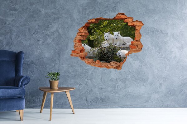 Fototapeta díra na zeď Bílí vlci skála nd-c-93949837