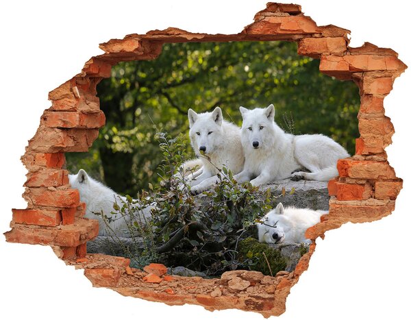 Fototapeta díra na zeď Bílí vlci skála nd-c-93949837