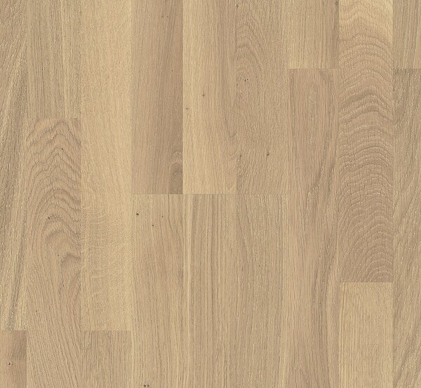 PARADOR Basic 11-5 Rustikal Dub 1366061 - 4.07 m2