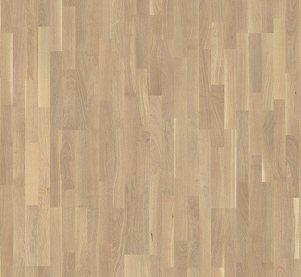 PARADOR Basic 11-5 Rustikal Dub 1366061 - 4.07 m2
