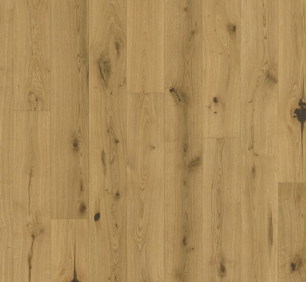 PARADOR Basic 11-5 Character Dub chianti přírodní 1748899 - 4.07 m2
