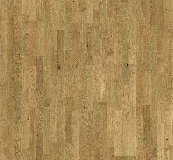 PARADOR Classic 3060 Living Dub sukovitý 1518102 - 3.66 m2