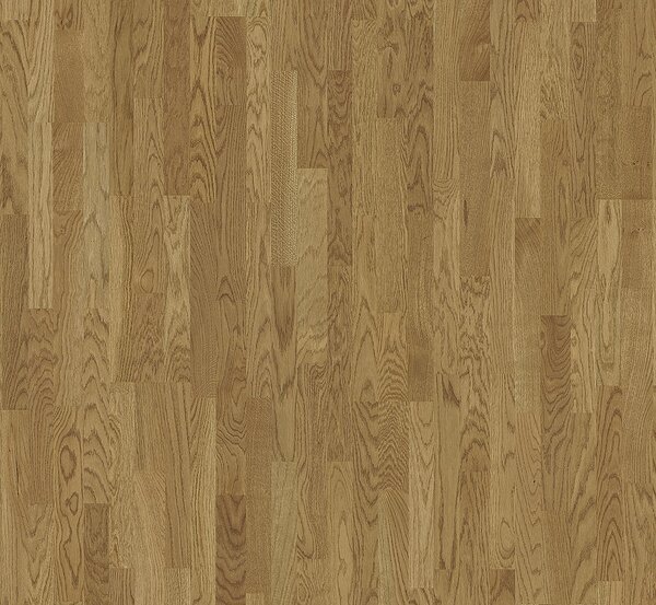 PARADOR Basic 11-5 Rustikal Dub malbec přírodní 1748911 - 4.07 m2