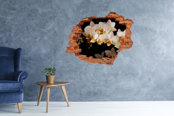 Nálepka fototapeta 3D výhled Orchidej nd-c-95410450