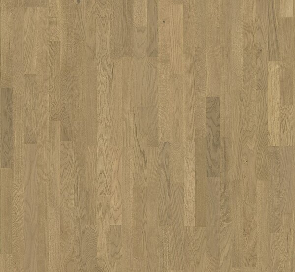 PARADOR Basic 11-5 Rustikal Dub malbec lehce bílený 1748912 - 4.07 m2
