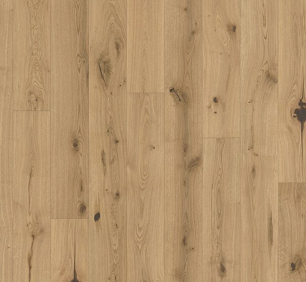 PARADOR Basic 11-5 Character Dub chianti lehce bílený 1748898 - 4.07 m2