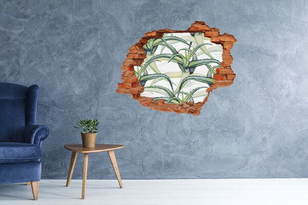 Fototapeta díra na zeď 3D Aloes nd-c-96215866