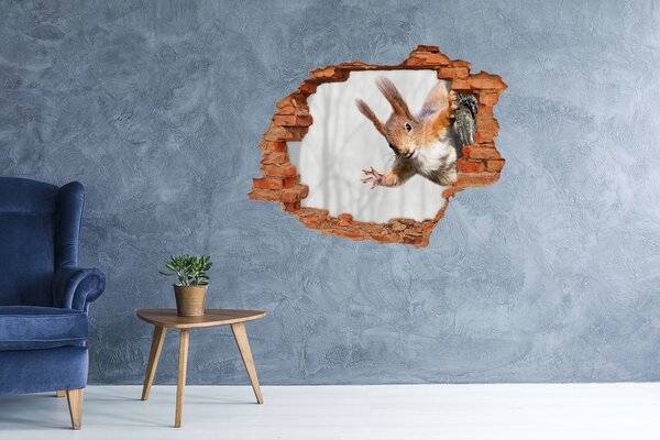 Nálepka fototapeta 3D na zeď Veverka nd-c-97008260