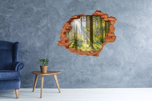 Fototapeta díra na zeď Les slunce nd-c-98252702