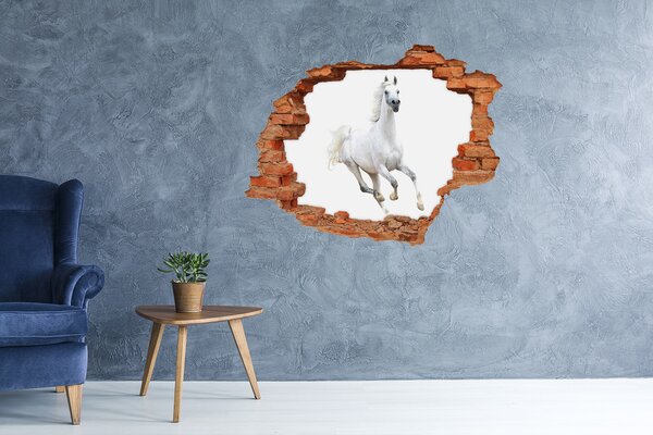 Fototapeta díra na zeď Bílý arabský kůň nd-c-99028092