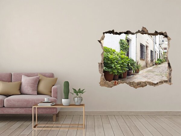 Fototapeta díra na zeď 3D Romantická ulička nd-k-71927605