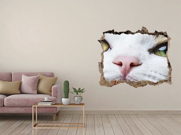 Díra 3D fototapeta nálepka Zelená kočičí oči nd-k-72425776