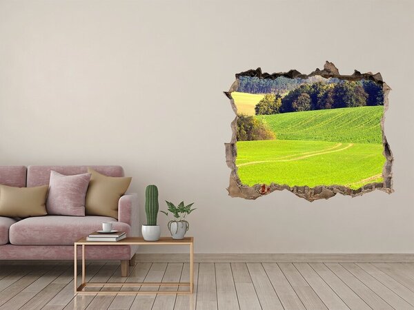 Nálepka fototapeta 3D výhled Polní cesta nd-k-72725043