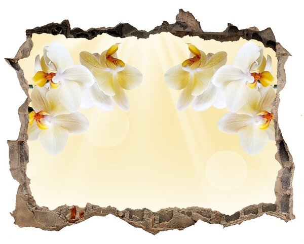 Samolepící díra na stěnu nálepka Orchidej nd-k-72852358