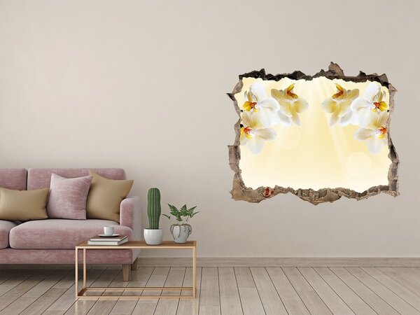 Samolepící díra na stěnu nálepka Orchidej nd-k-72852358