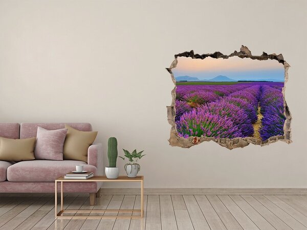 Nálepka fototapeta 3D výhled Pole levandule nd-k-73534253