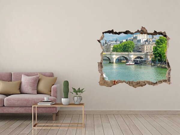 Fototapeta díra na zeď 3D Seina Paříž nd-k-73852810