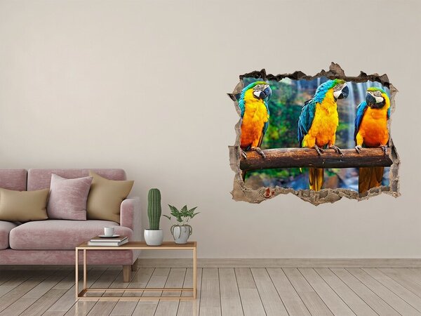 Díra 3D fototapeta nálepka Papošci na větvi nd-k-73798954
