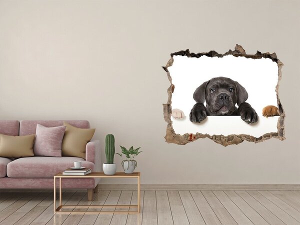 Díra 3D fototapeta nálepka Tři štěňátka nd-k-75383603
