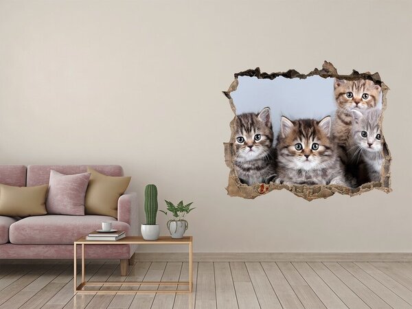 Díra 3D fototapeta nálepka Pět koček nd-k-75950374