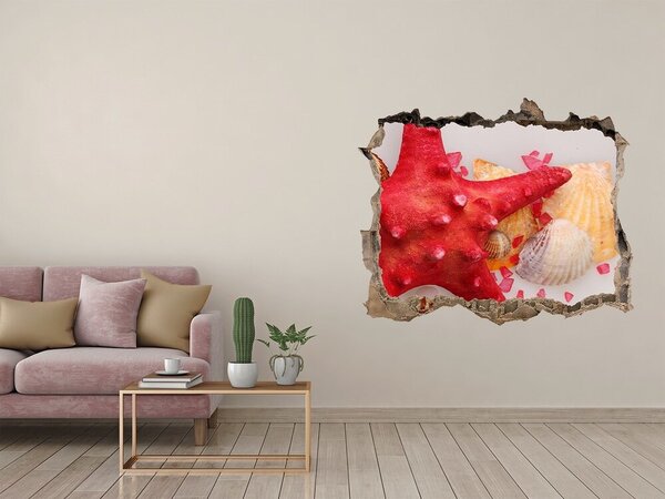 Díra 3D fototapeta Hvězdice a mušle nd-k-75838454