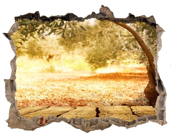 Nálepka fototapeta 3D výhled Olivovník nd-k-77330786