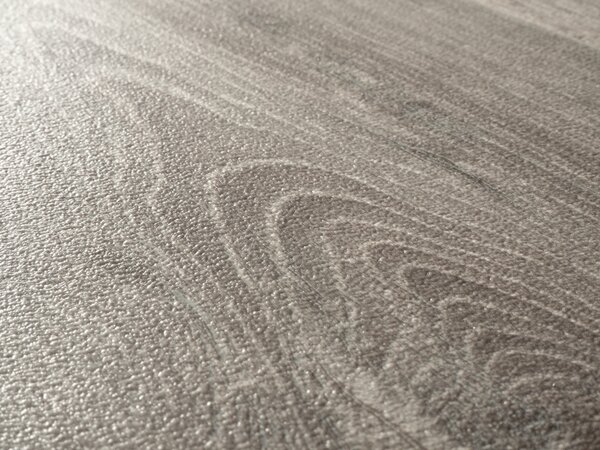 Beaulieu International Group, PVC podlaha - lino Livitex 2604, na míru, šíře 3m,4m, šedá, filc, chodba / předsíň