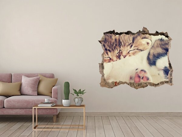 Díra 3D fototapeta na stěnu Dvě kočky a pes nd-k-78906407