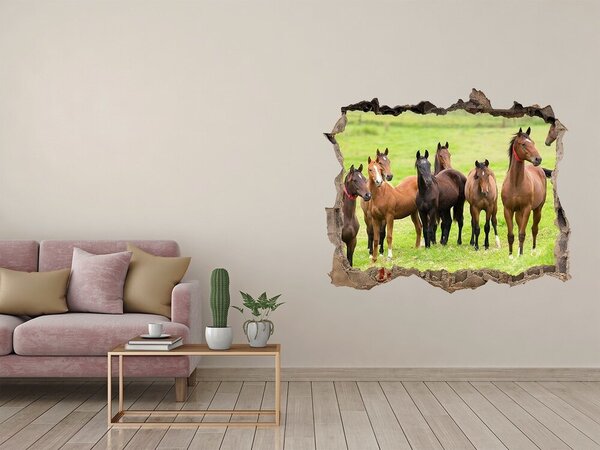 Díra 3D fototapeta nálepka Stádo koní na louce nd-k-79057196