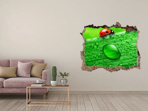 Díra 3D fototapeta Berušky na trávě nd-k-79213715