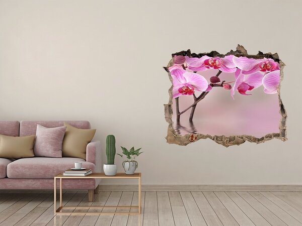 Samolepící díra na stěnu Růžová orchidej nd-k-79883275