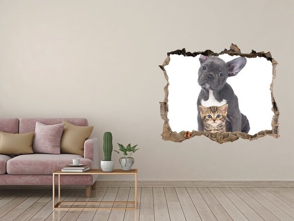 Díra 3D fototapeta na stěnu Pes a kočka nd-k-80558737