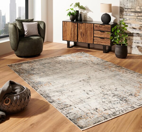 TKANÝ KOBEREC, 80/150 cm šedá, vícebarevná Dieter Knoll - Tkané koberce