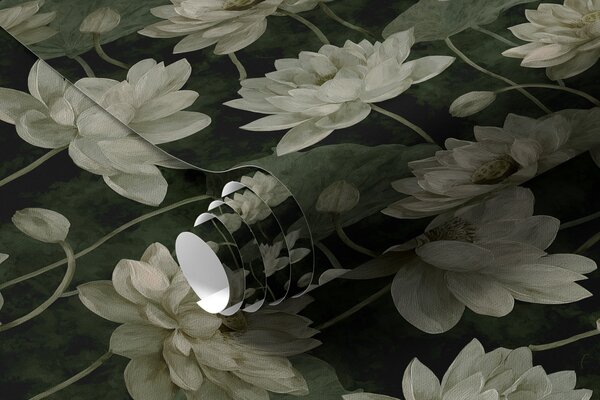 Tapety Lotus, Tapety květiny, a00420v2 : uwalls.cz