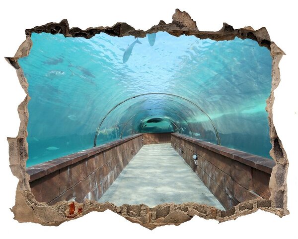 Fototapeta díra na zeď 3D Tunel akvárium nd-k-82197217