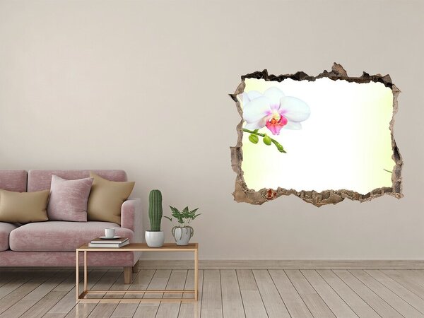 Fototapeta díra na zeď Orchidej a bambus nd-k-82165838