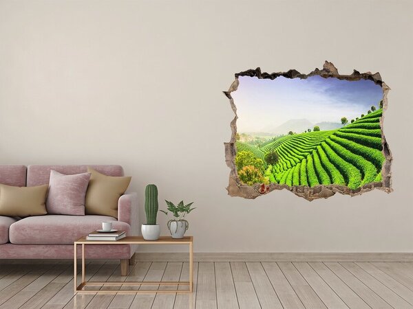 Nálepka fototapeta 3D Plantáž čaje nd-k-83004057