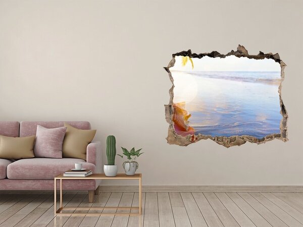 Nálepka fototapeta 3D výhled Mušle na pláži nd-k-83555961